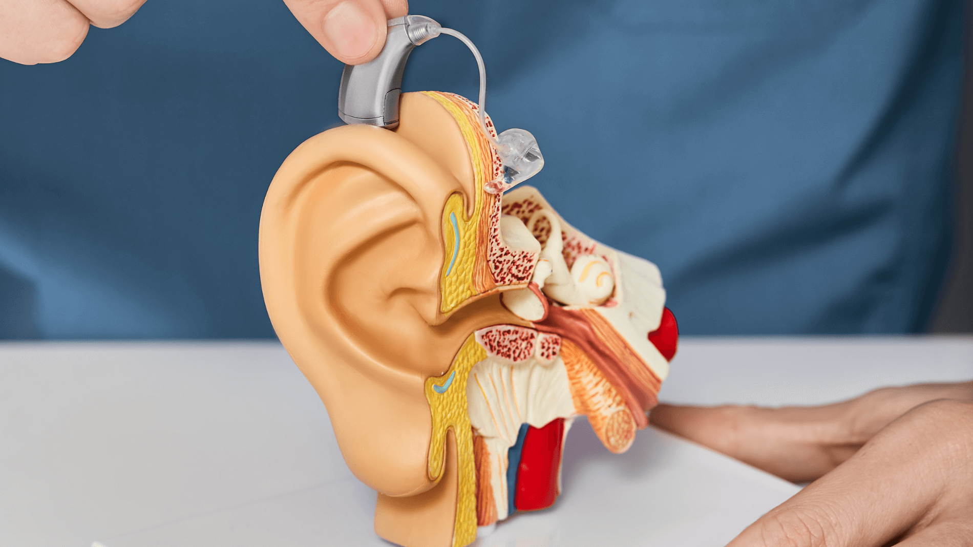 Exploring Causes, Symptoms, and Treatment of Conductive Hearing Loss